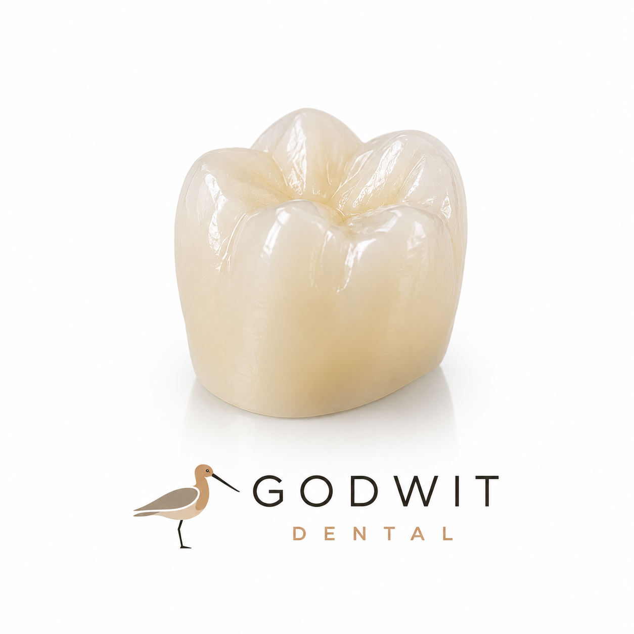 Full Zirconia Crown